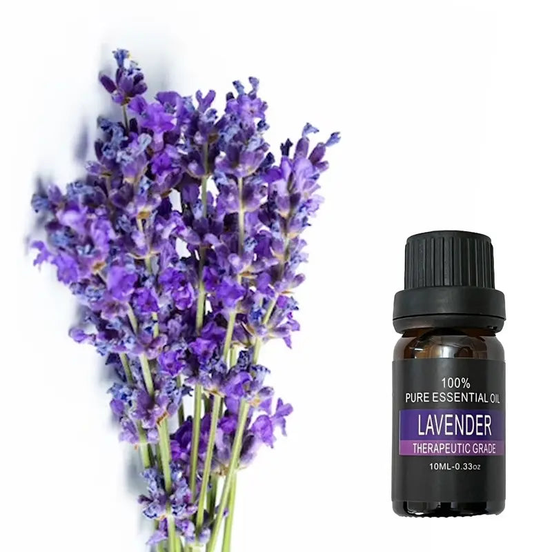 Lavender Essential Oil for Your Home and Office Diffusers Lavender Lavender Assist Sleep Aromatherapy Aromatherapy Assist Sleep Lavender Lavender Assist Sleep Aromatherapy Aromatherapy