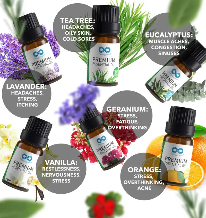 6-Piece Therapeutic Grade Aromatherapy Essential Oils Set