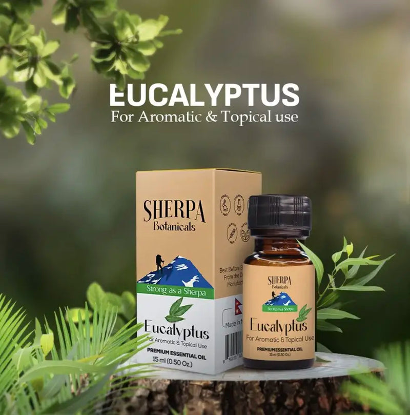 Eucalyptus Essential Oil Aromatherapy