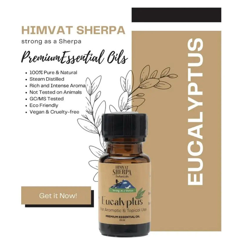 Eucalyptus Essential Oil Aromatherapy